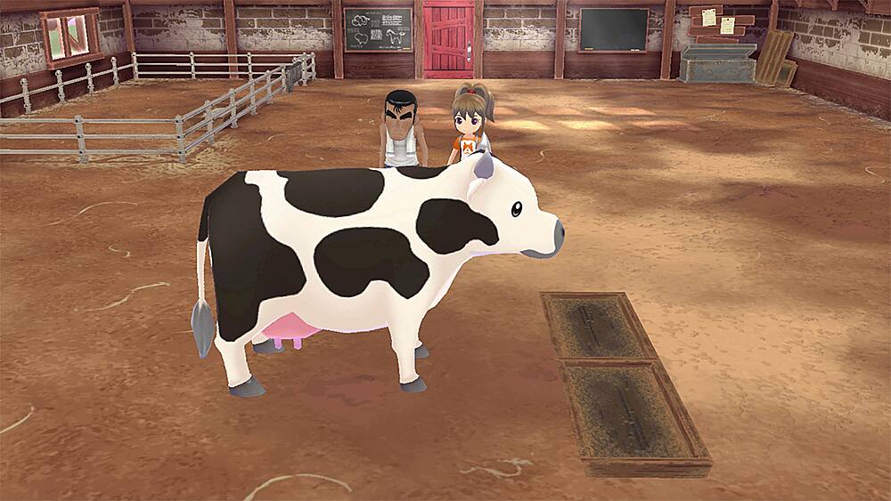 Alt View 14. XSEED Games - Story of Seasons: A Wonderful Life.