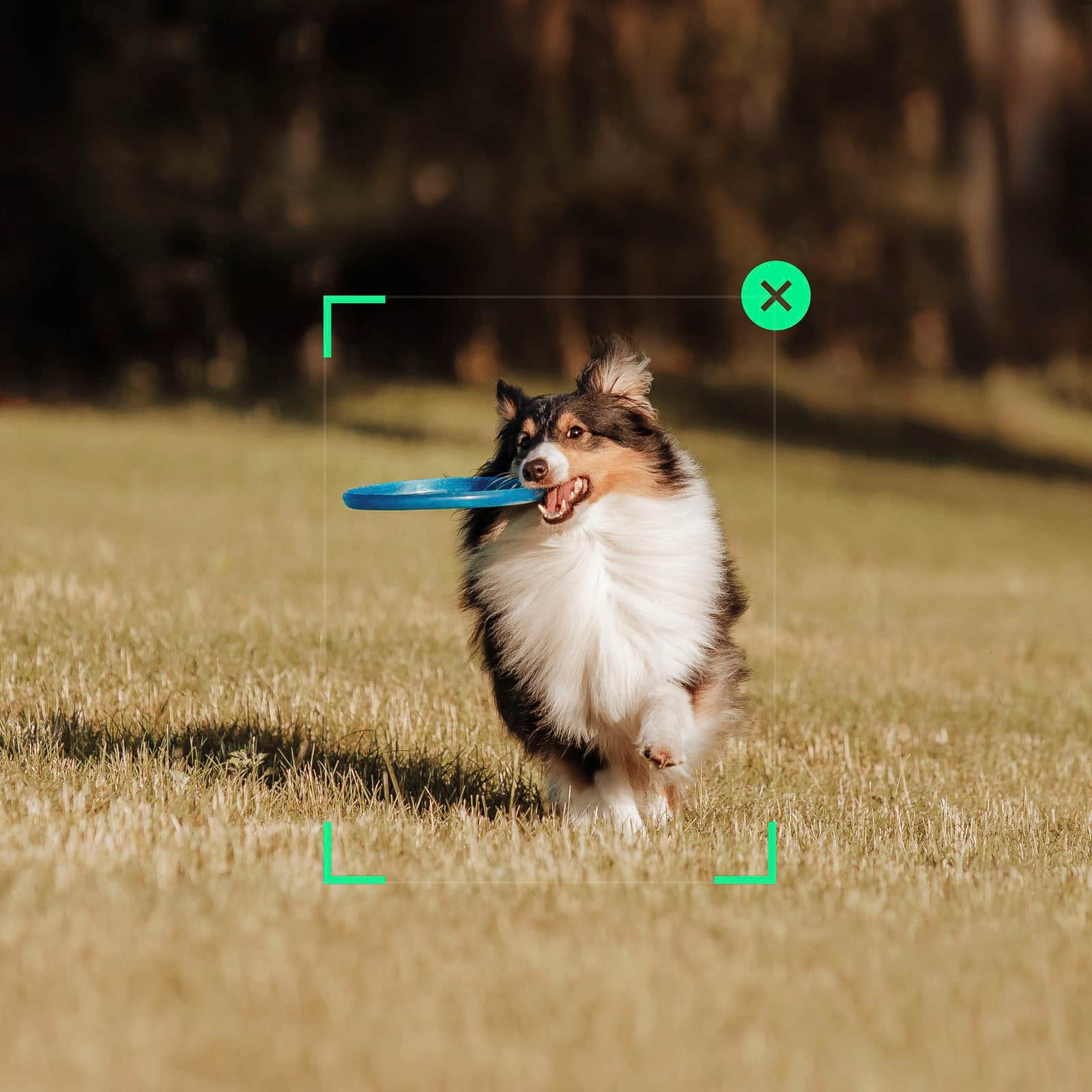 Alt View 15. DJI - Osmo Mobile SE Smartphone 3-Axis Gimbal Stabilizer - Gray.