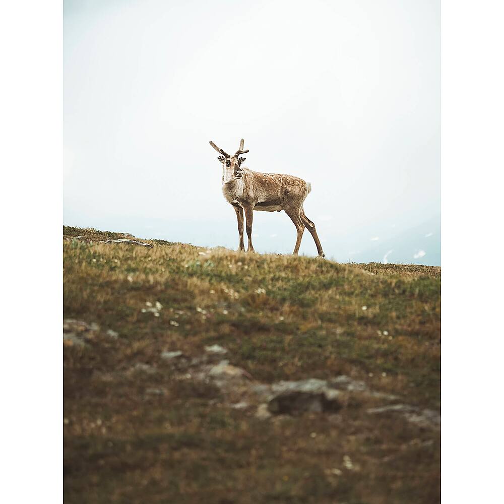 Alt View 15. Olympus - OM5 Mirrorless Camera (Body Only).