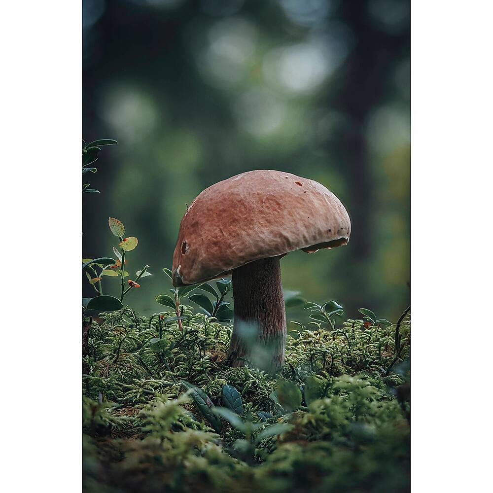 Alt View 13. Olympus - OM5 Mirrorless Camera with 3.8x Digital Zoom Lens.