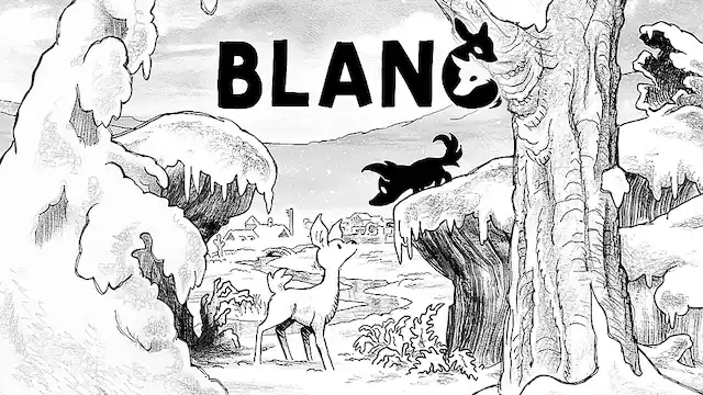 Front. Nintendo - Blanc. - E (Everyone)