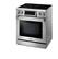 Angle. Thor Kitchen - 4.55 Cu. Ft. Freestanding Electric Range with Self Cleaning - Silver.