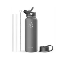 Buzio - Duet Series Insulated 40 oz Water Bottle with Straw Lid and Flex Lid - Gray - Angle_Zoom