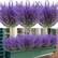 Back. Auledio - 1 PCS Artificial lavender flowers, outdoor non-fading imitation plastic fake flowers, garden porch window box decoration - Purple.