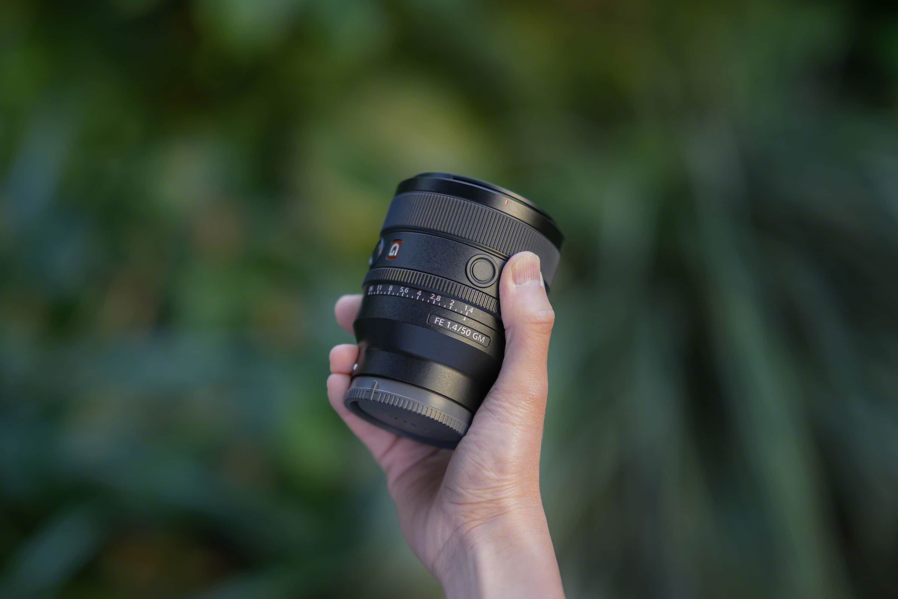 Sony 50mm F1.4 G Master vs Sony 55mm F1.8