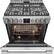 Alt View 1. Frigidaire - Professional 5.6 Cu. Ft. Freestanding Gas True Convection Range - Stainless Steel.