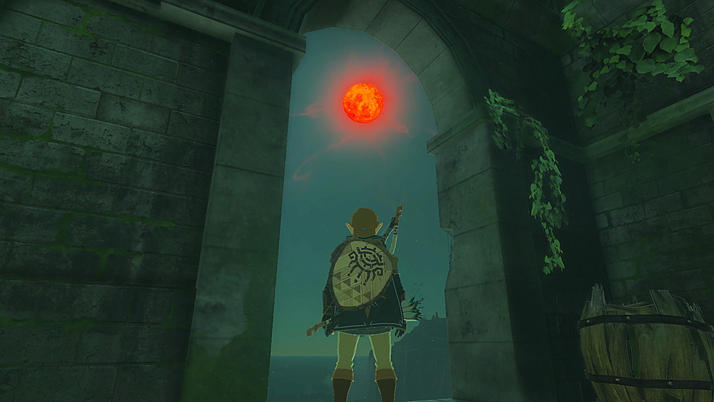 Best Buy: The Legend of Zelda: Link's Awakening: Dreamer Edition Nintendo  Switch HACRAR3N1