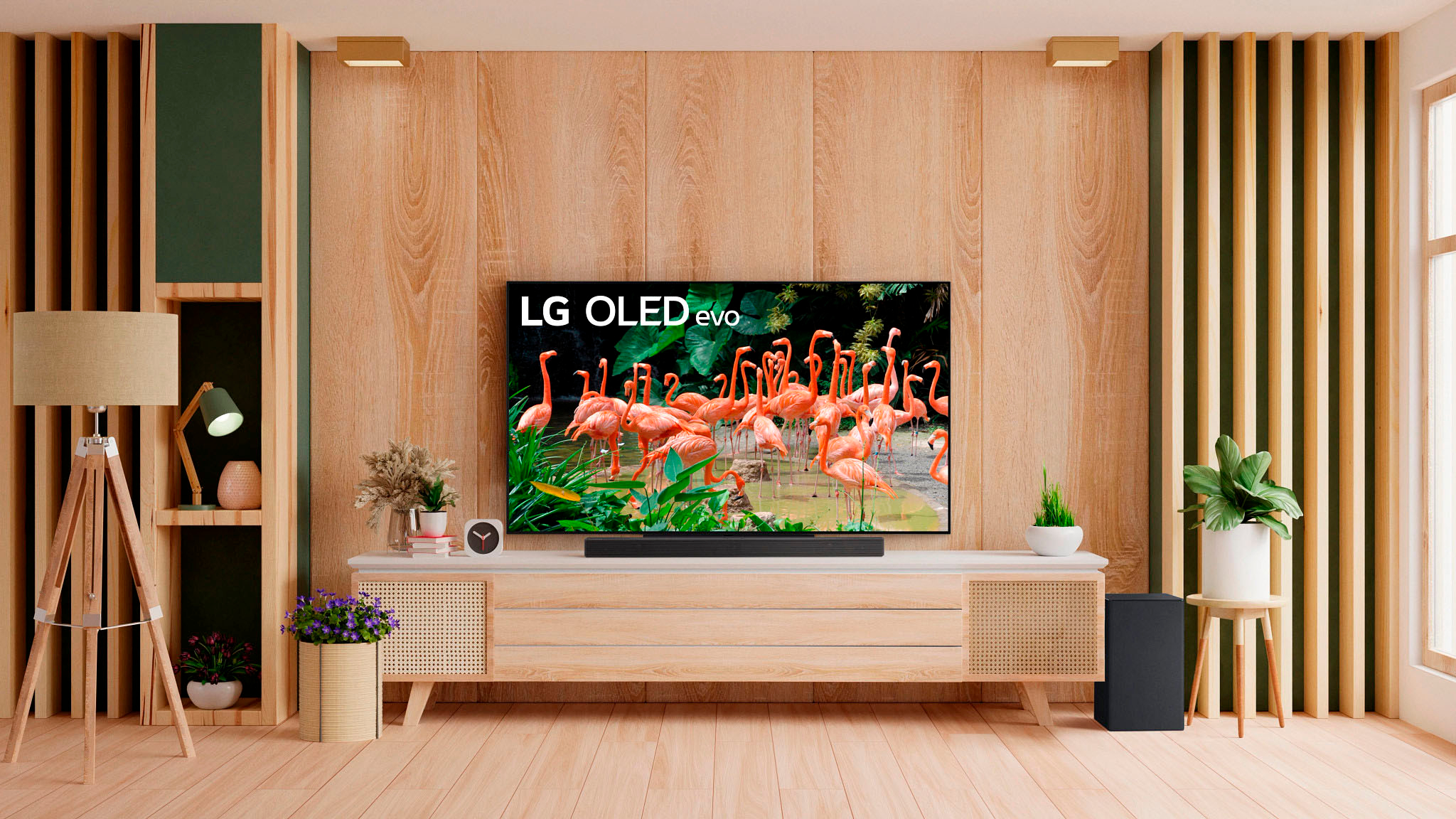 LG OLED evo C3 65 HDR 4K Smart OLED TV w/ LG SC9S 3.1.3ch Sound Bar (2023)  195174050255