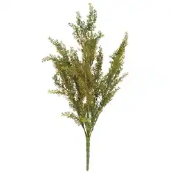 Front. BreeBe - Wheat Bush 19" - Green.