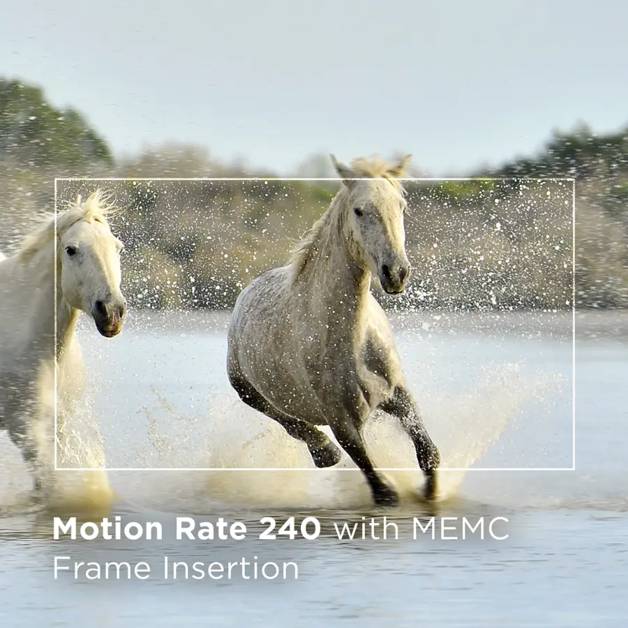 Motion Rate 240 with MEM Frame Insertion