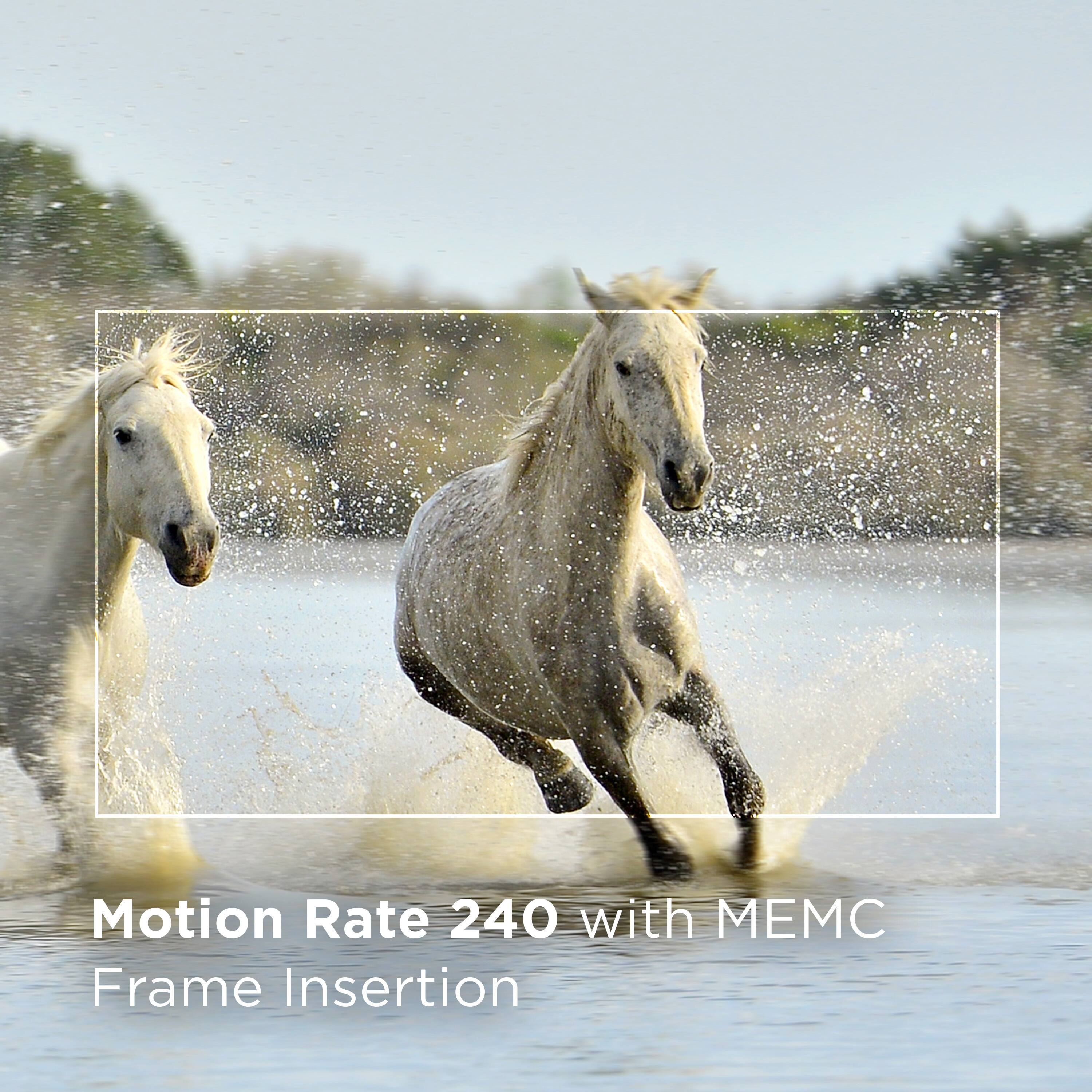 Motion Rate 240 with MEM Frame Insertion