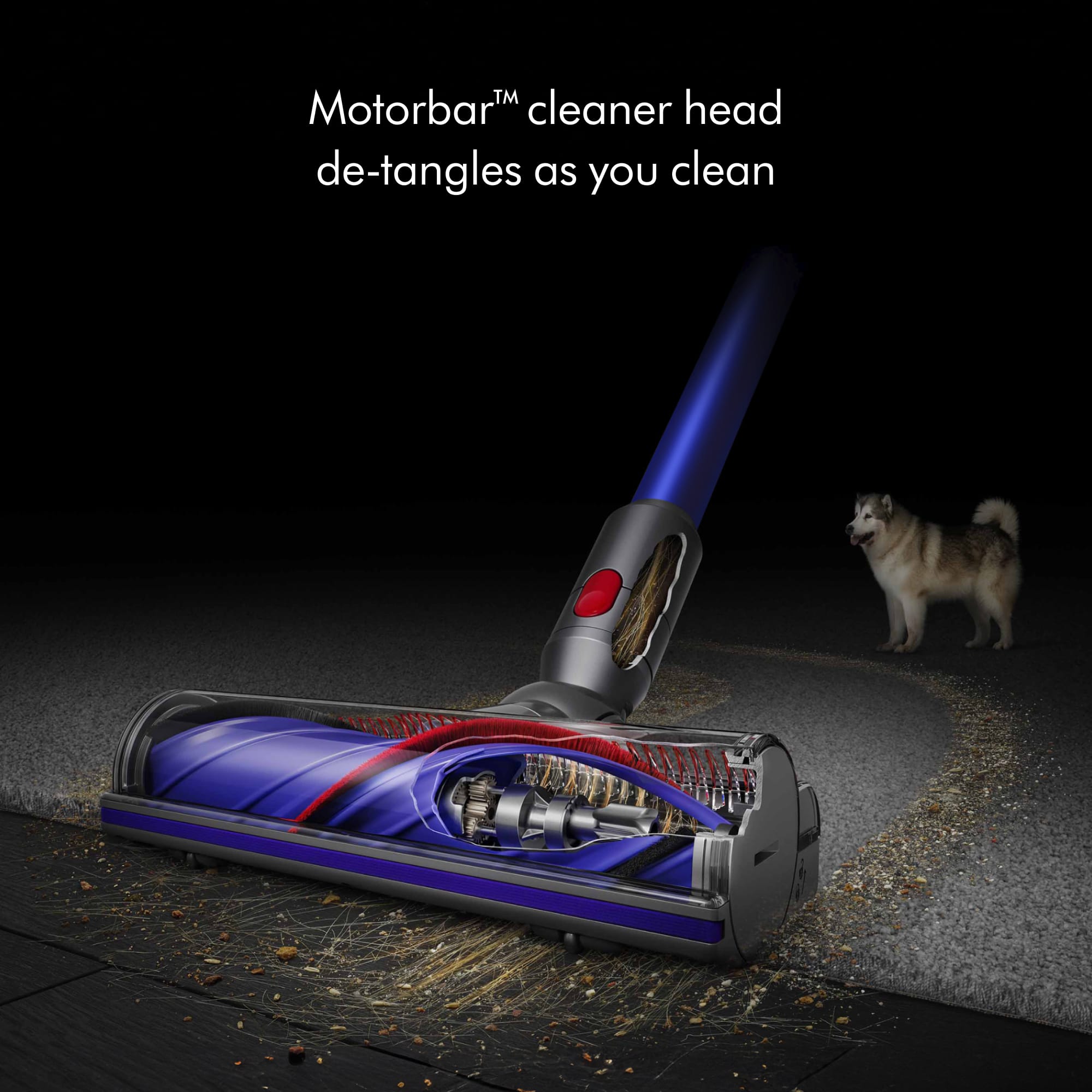 The image features a blue and red vacuum cleaner with a de-tangling head, which is designed to clean up debris and tangled hair as it vacuums. The vacuum is positioned on the ground, and a dog is standing nearby, observing the scene. The image is likely promoting the vacuum cleaner's de-tangling feature, which makes it a convenient and effective tool for cleaning up pet hair and other debris.