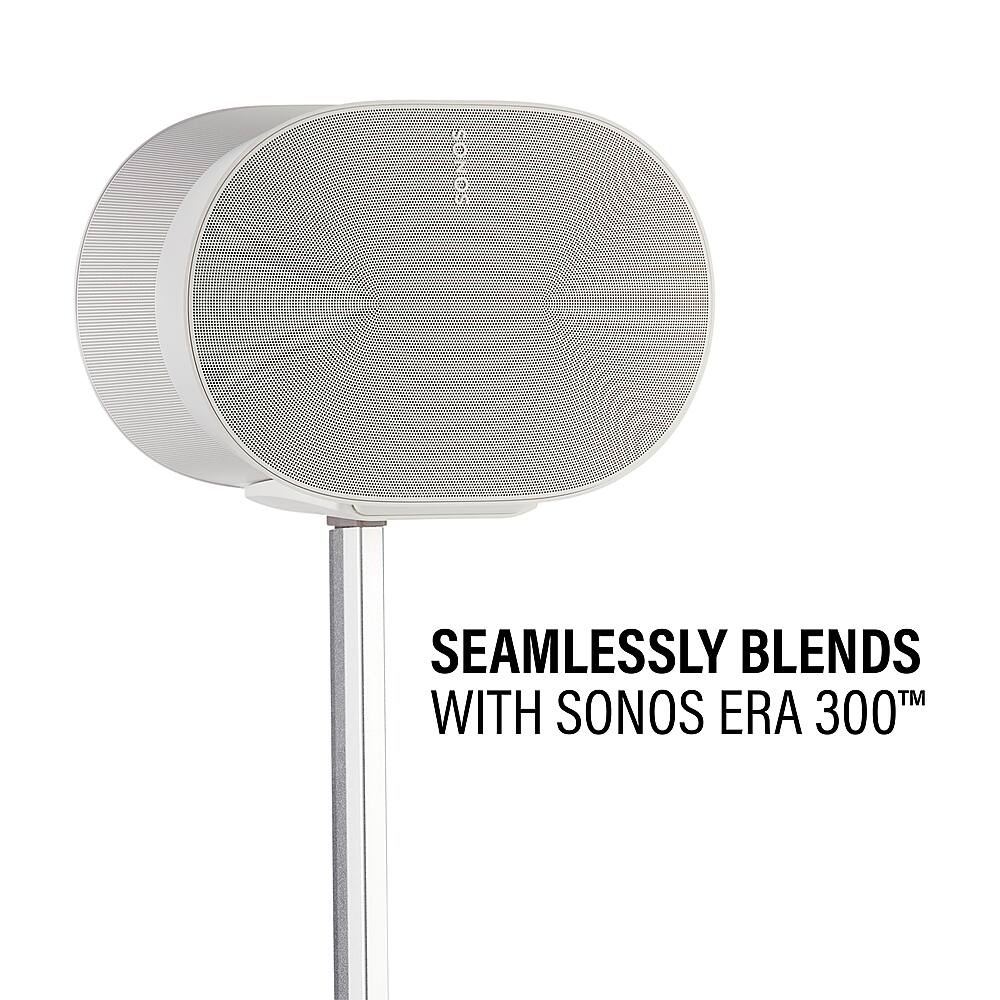SONOS Seamlessly Blends TM with Sonos Era 300 TM