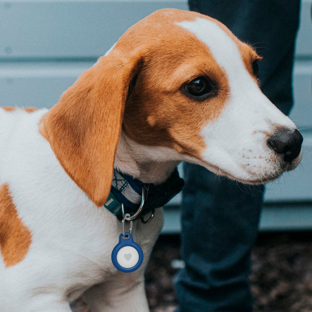 Alt View 19. Belkin - Secure holder with Key Ring, Scratch Resistant, Protective AirTag Keychain for Apple AirTag - 4-Pack - Blue.