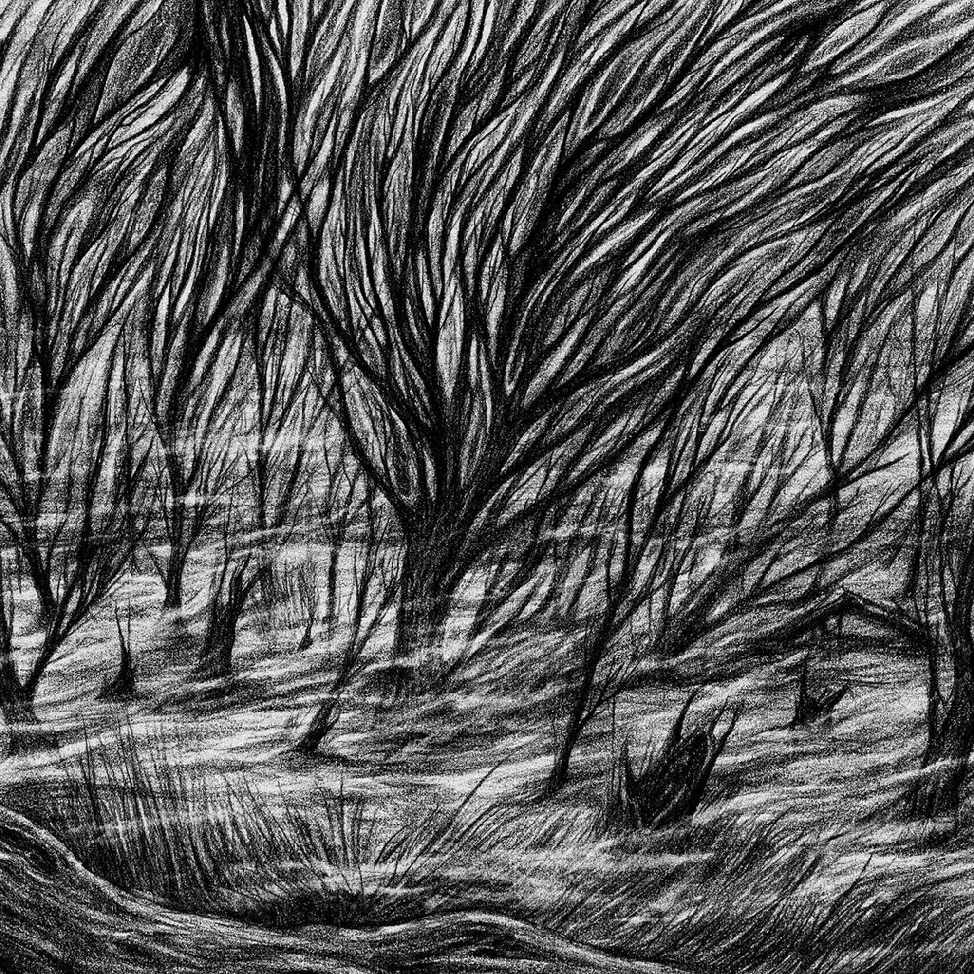 Front. The Eternal Marshes [LP].