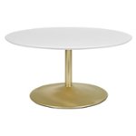 Angle Zoom. OSP Home Furnishings - Flower Coffee Table - White/Brass.