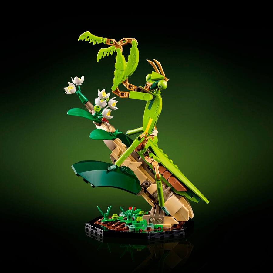 Lego Insect Collection Set LEGO Ideas The Insect Collection Building Set 21342 Multicolor 6452127 ...