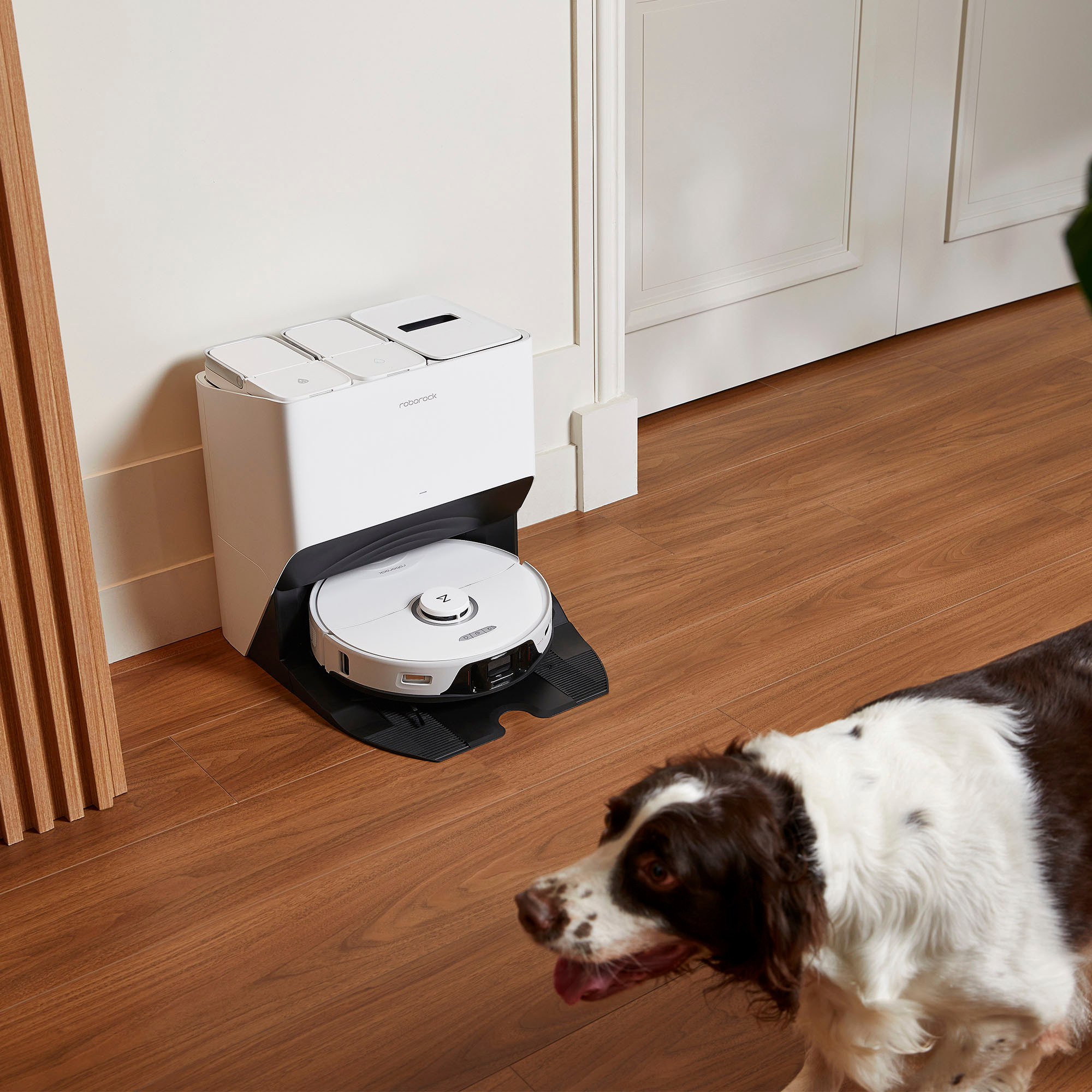 Roborock S8 Pro Ultra Robot Vacuum and Mop Cleaner with RockDock™ Ultra -  White - Roborock Online