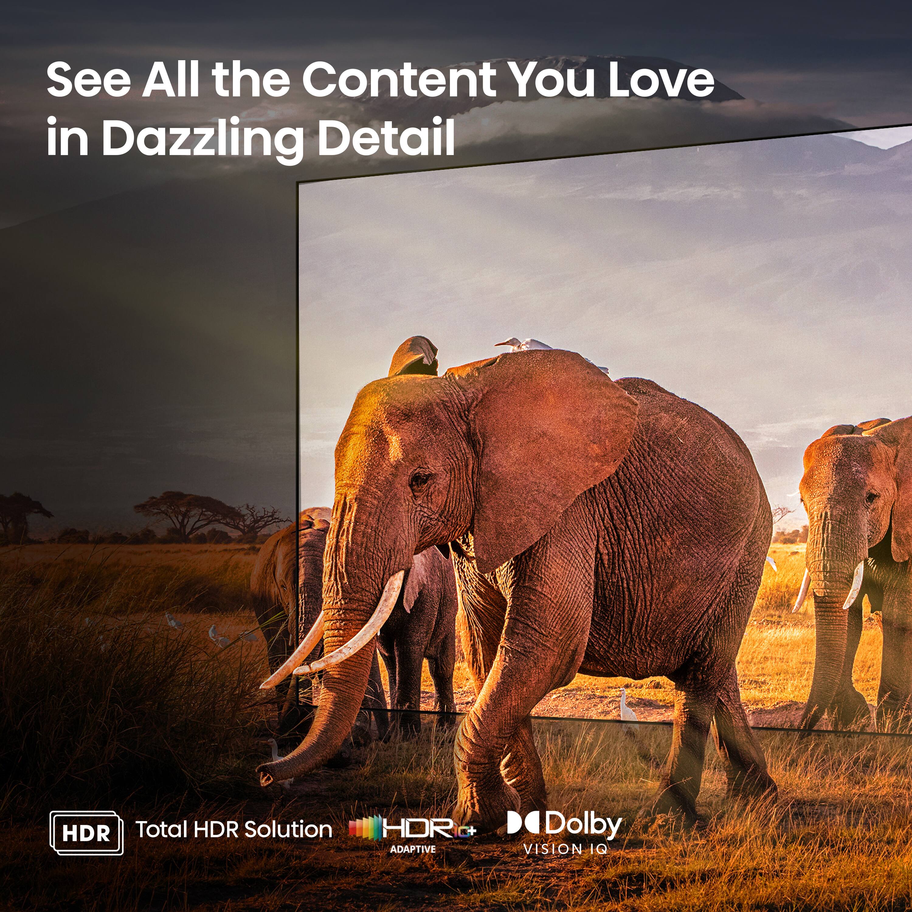 See All the Content You Love in Dazzling Detail HDR Total HDR Solution HDR N+ ADAPTIVE " Dolby VISION IQ