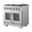 Angle. Forno Appliances - Capriasca 5.36 Cu. Ft. Freestanding Gas Range with French Doors and LP Conversion - Silver.