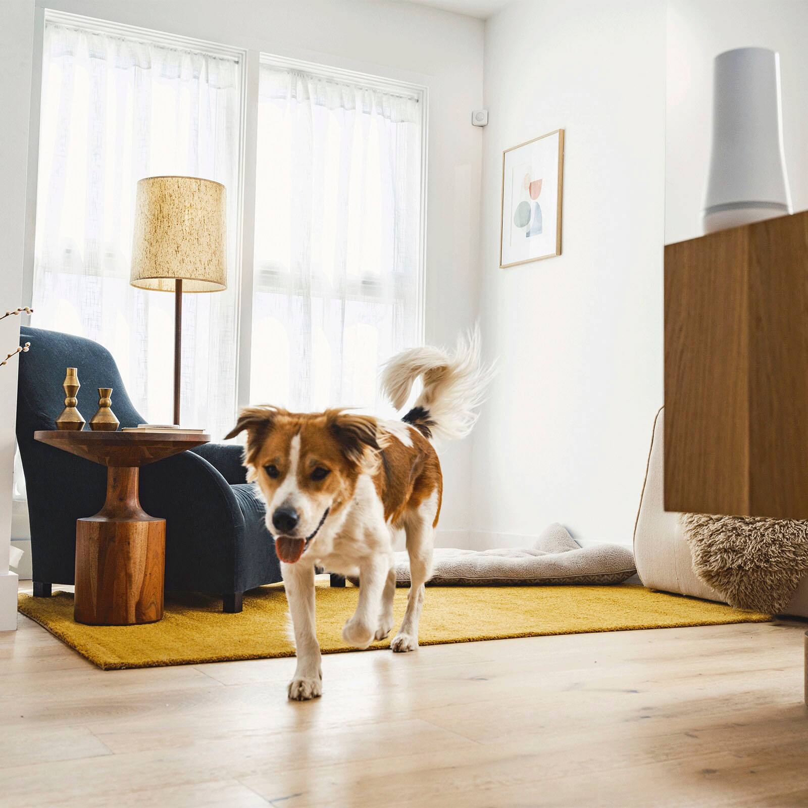 Alt View 13. SimpliSafe - Motion Sensor - White.