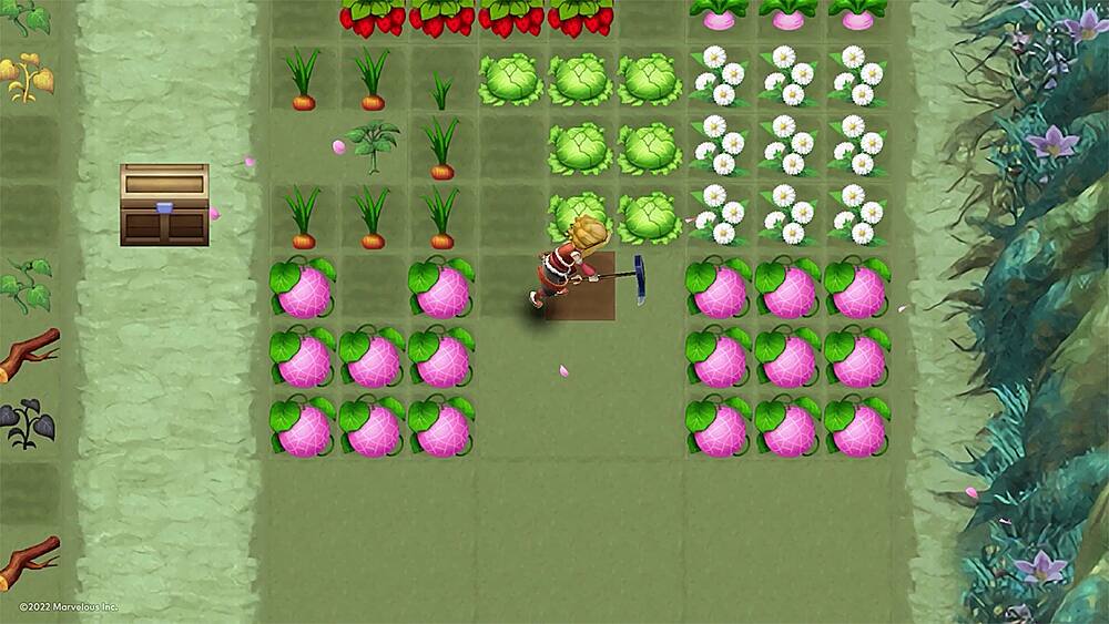 Angle. XSEED Games - Rune Factory 3 Special.