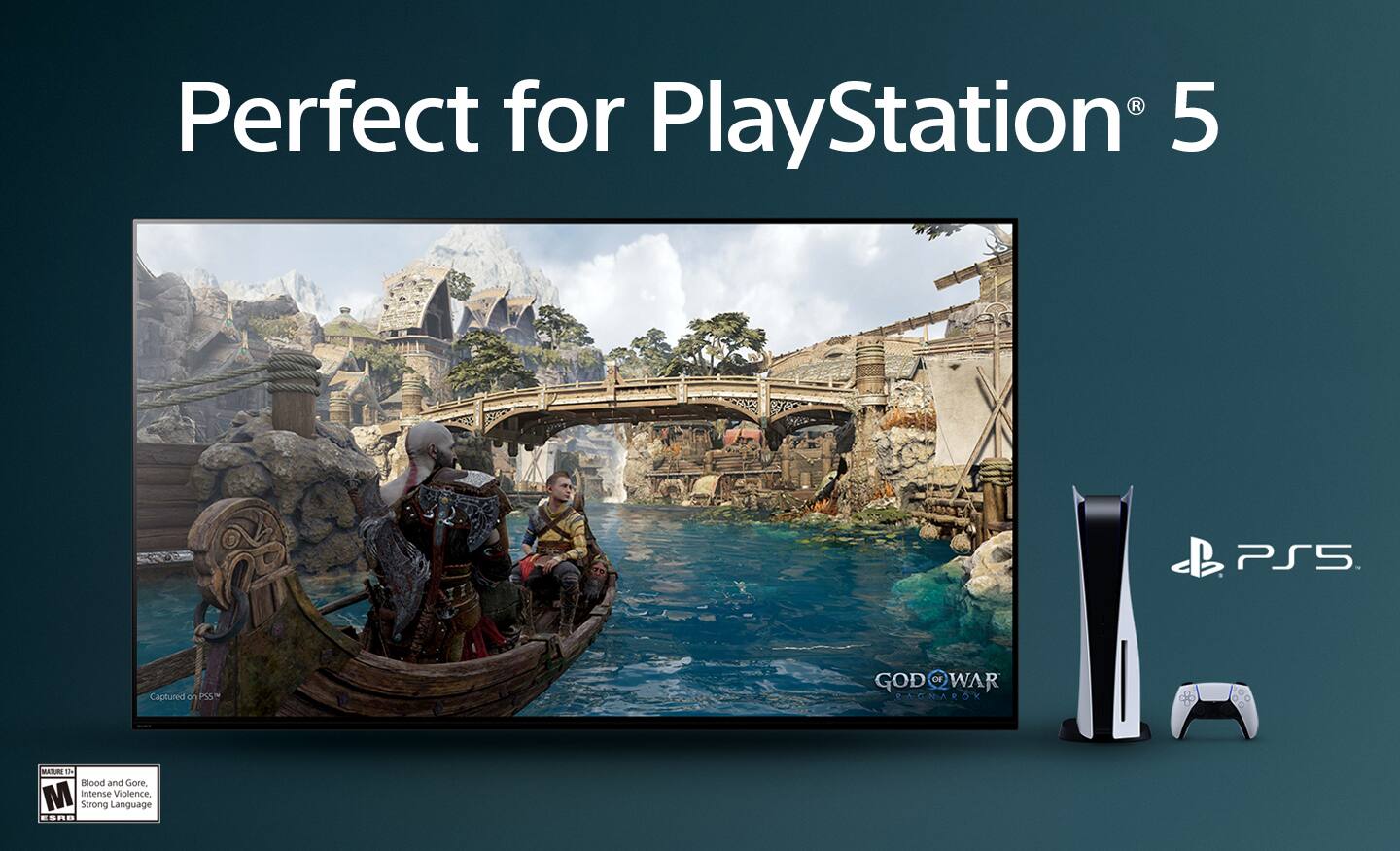 The image features a large flat screen TV with a PlayStation 5 logo on it, indicating that it is perfect for the PS5 gaming console. The TV is displayed in a blue background, and the image is described as having a "blood and gore" rating, suggesting that it may show violent or intense content.