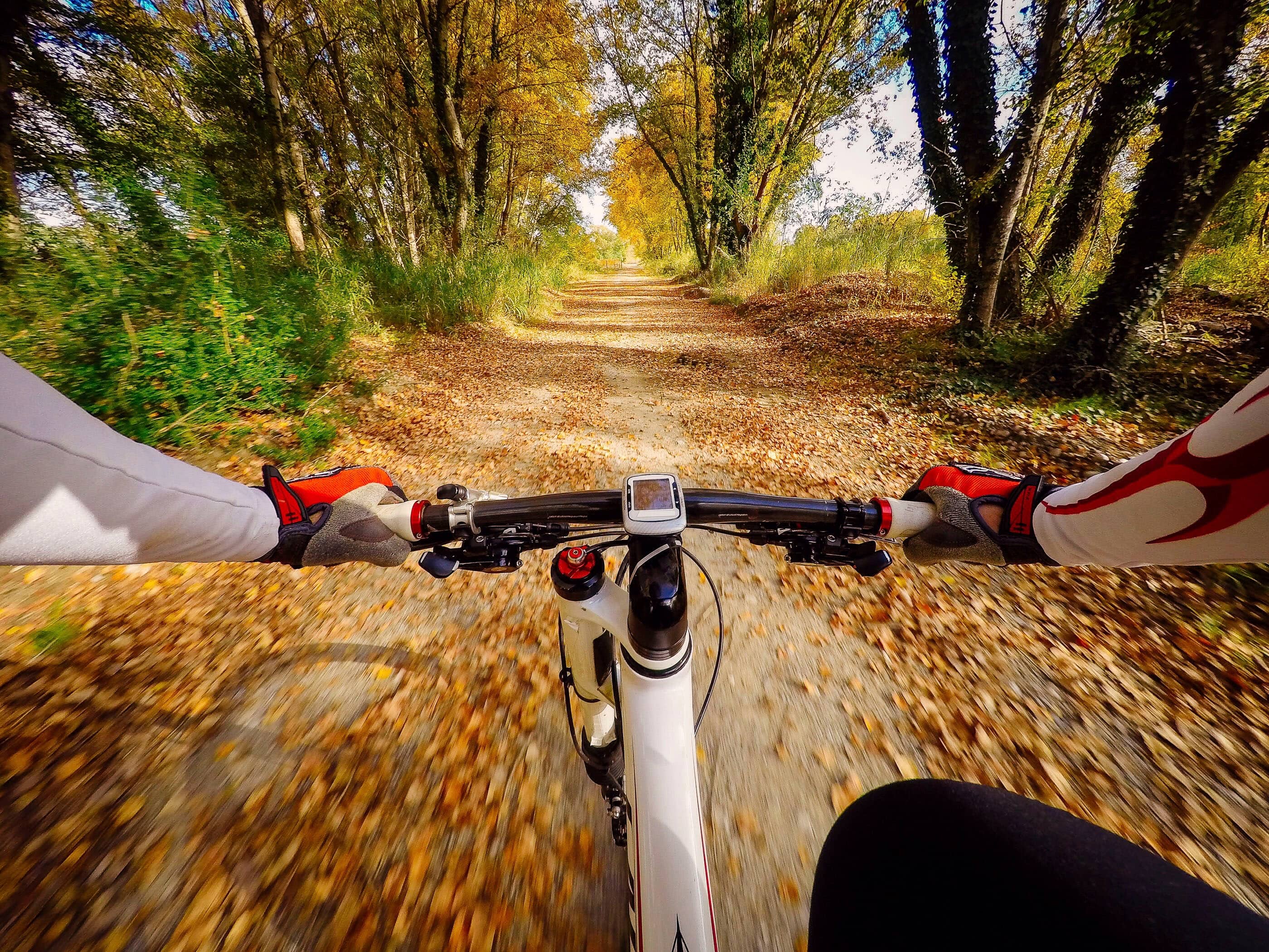 Alt View 19. Insignia™ - 12-Piece GoPro Accessory Kit for Most GoPro Cameras - Black.