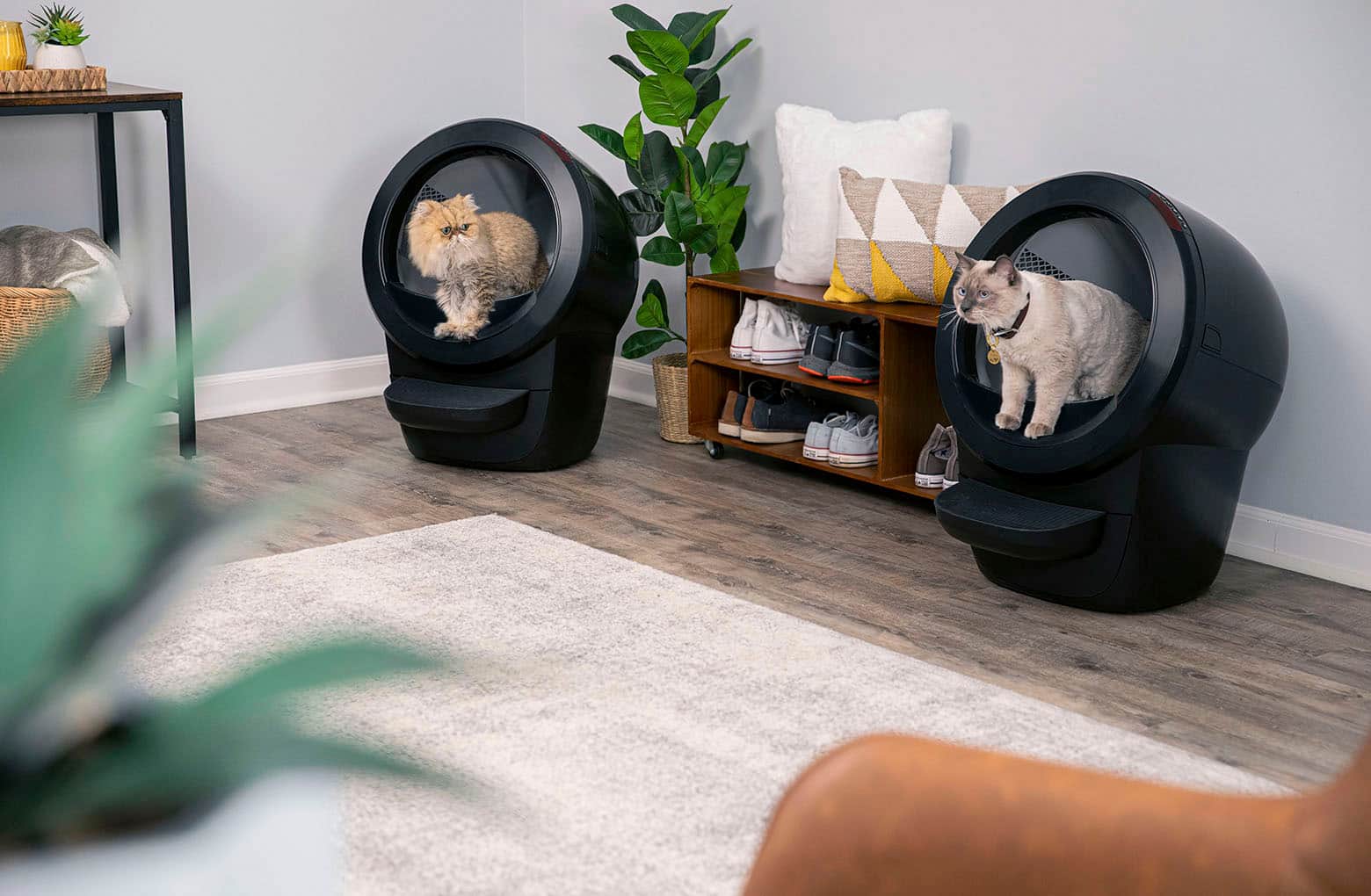 Alt View 18. Whisker - Litter-Robot 4 Smart App-Controlled Self-Cleaning Litter Box Core Accessories Bundle - Black.