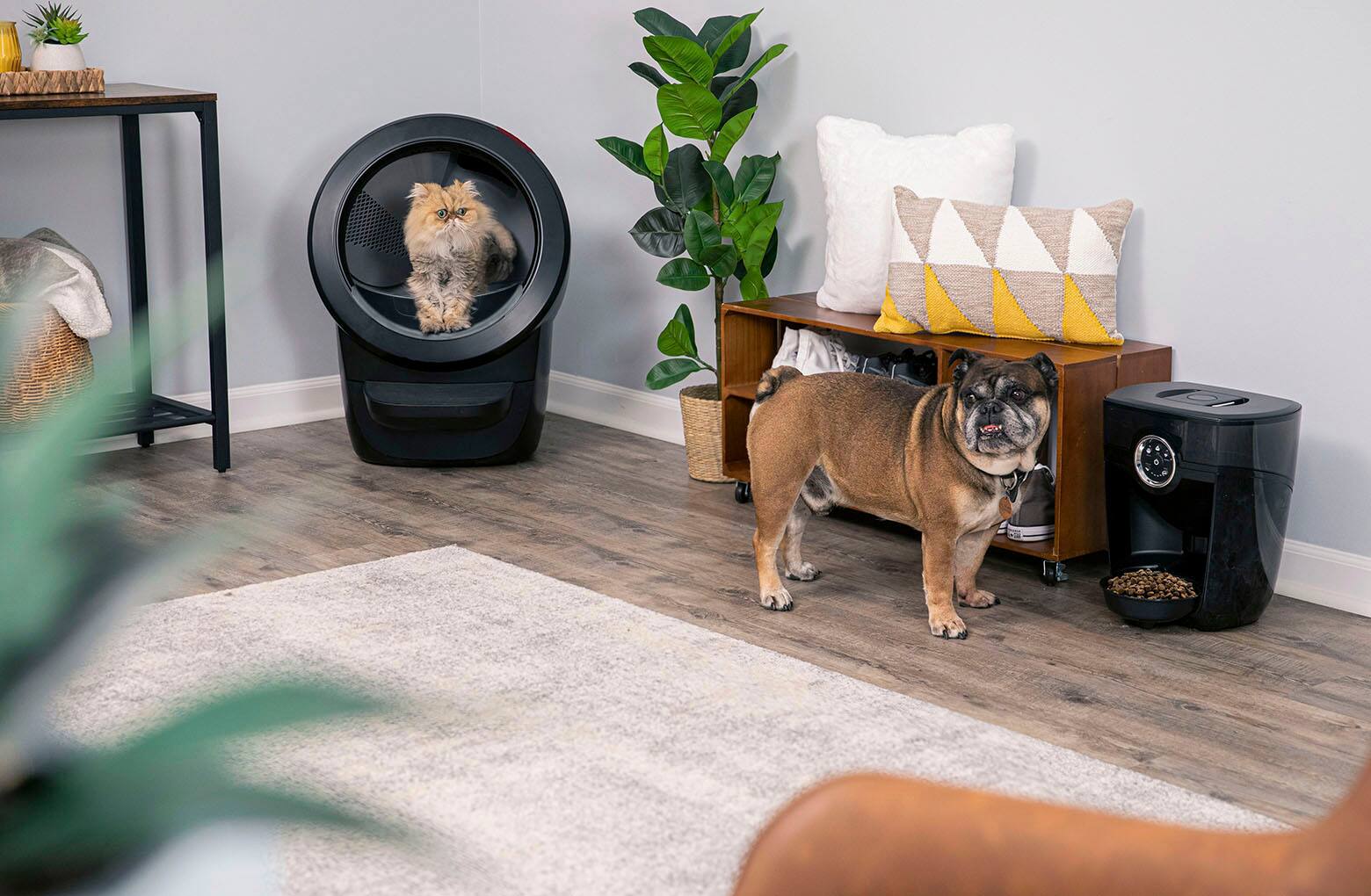 Alt View 21. Whisker - Litter-Robot 4 Smart App-Controlled Self-Cleaning Litter Box Core Accessories Bundle - Black.