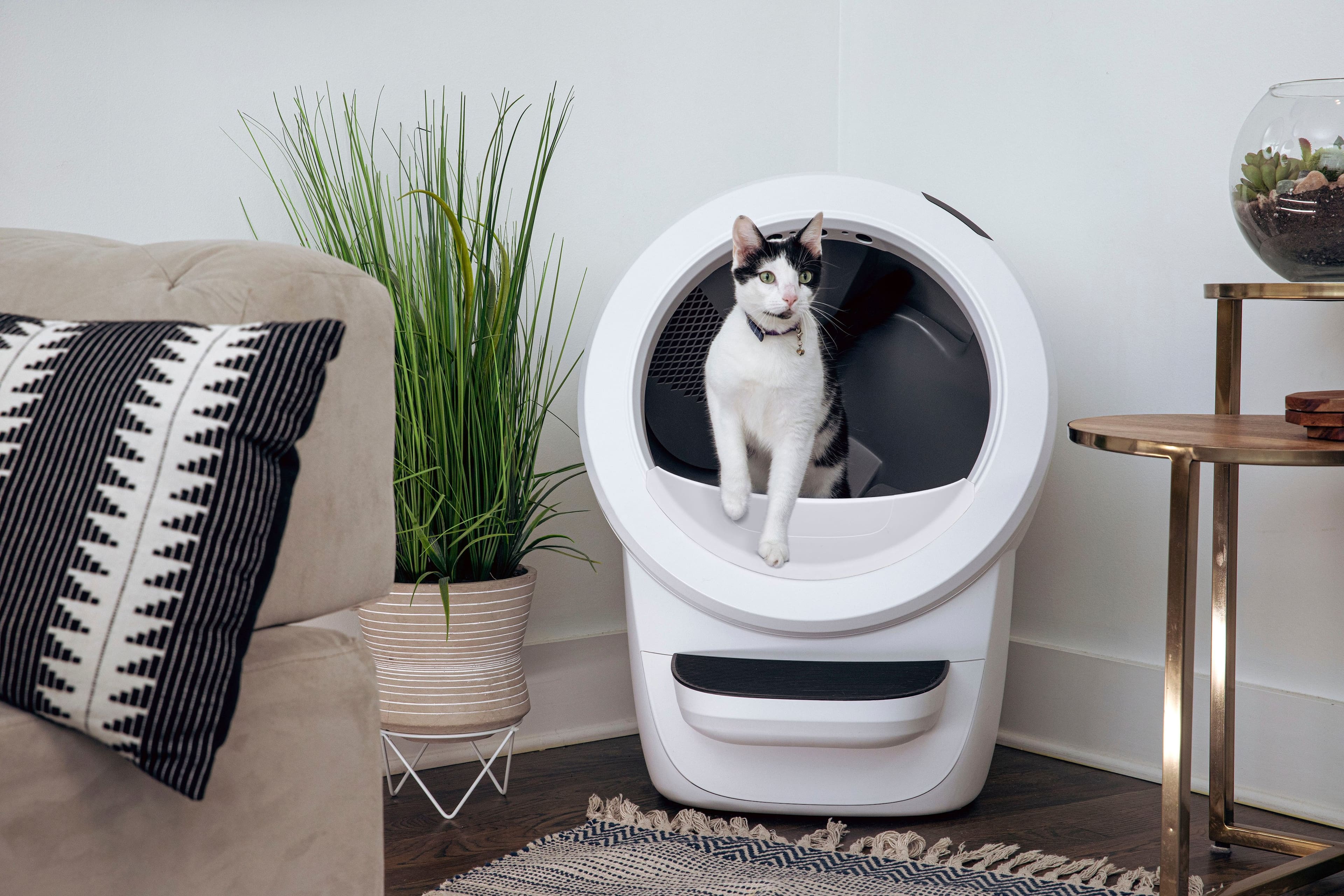 Alt View 16. Whisker - Litter-Robot 4 Smart App-Controlled Self-Cleaning Litter Box Core Accessories Bundle - White.