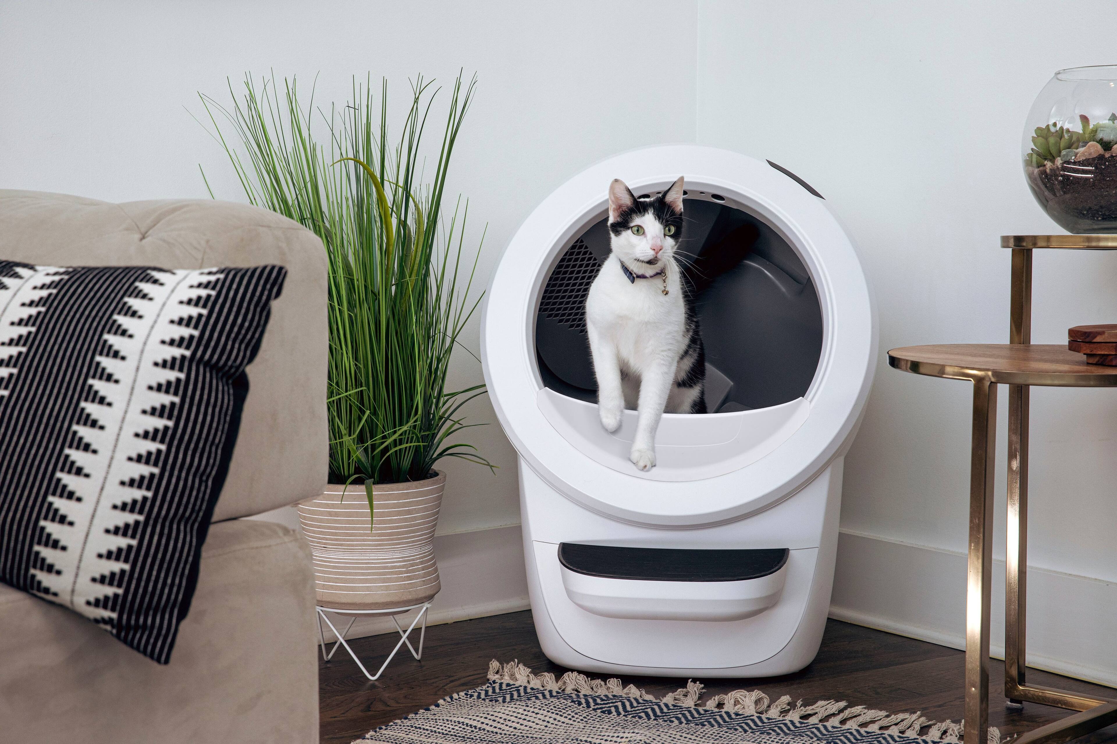 Alt View 16. Whisker - Litter-Robot 4 Smart App-Controlled Self-Cleaning Litter Box Core Accessories Bundle - White.