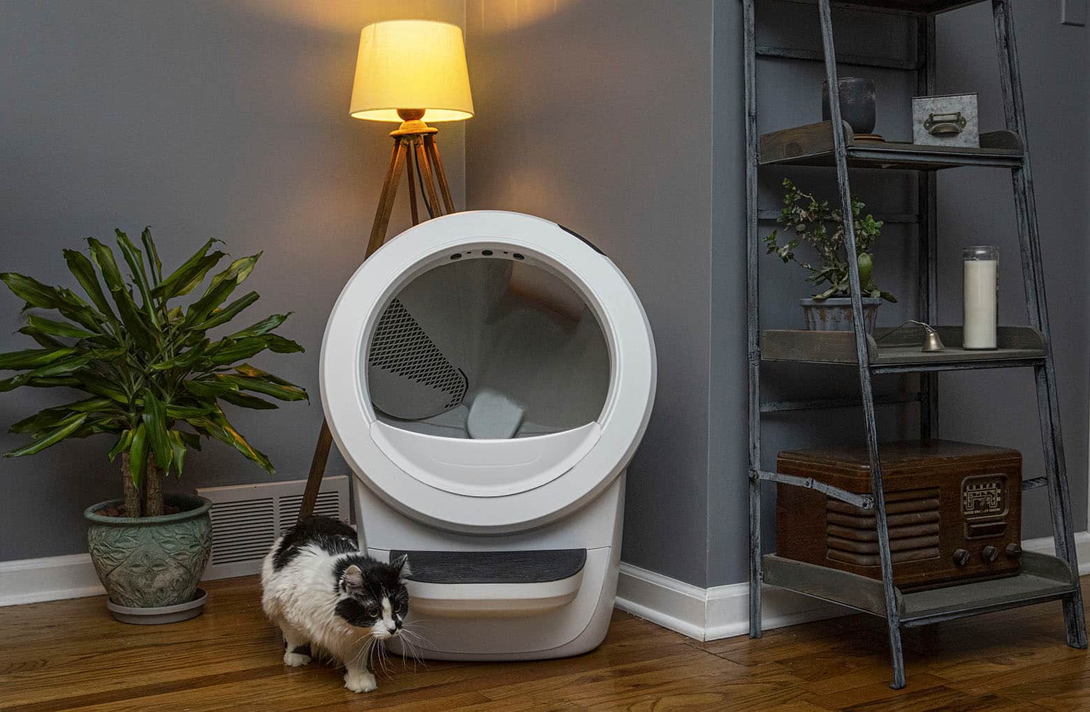 Alt View 18. Whisker - Litter-Robot 4 Smart App-Controlled Self-Cleaning Litter Box Core Accessories Bundle - White.