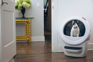 Whisker - Litter-Robot 4 Core Accessories Bundle WiFi-Enabled Covered Automatic Self-Cleaning Cat Litter Box - White - Front_Zoom