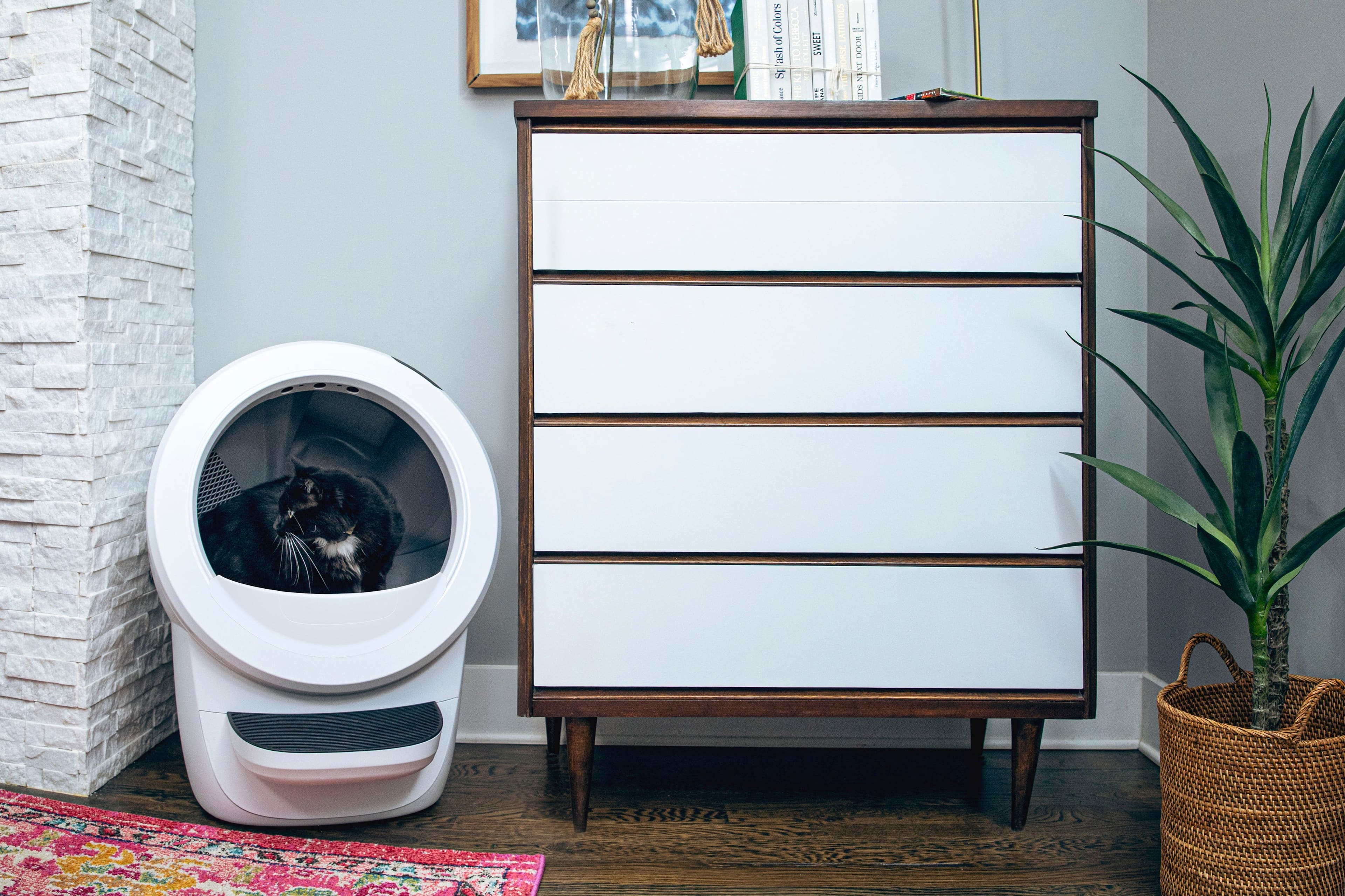 Alt View 24. Whisker - Litter-Robot 4 Smart App-Controlled Self-Cleaning Litter Box Core Accessories Bundle - White.