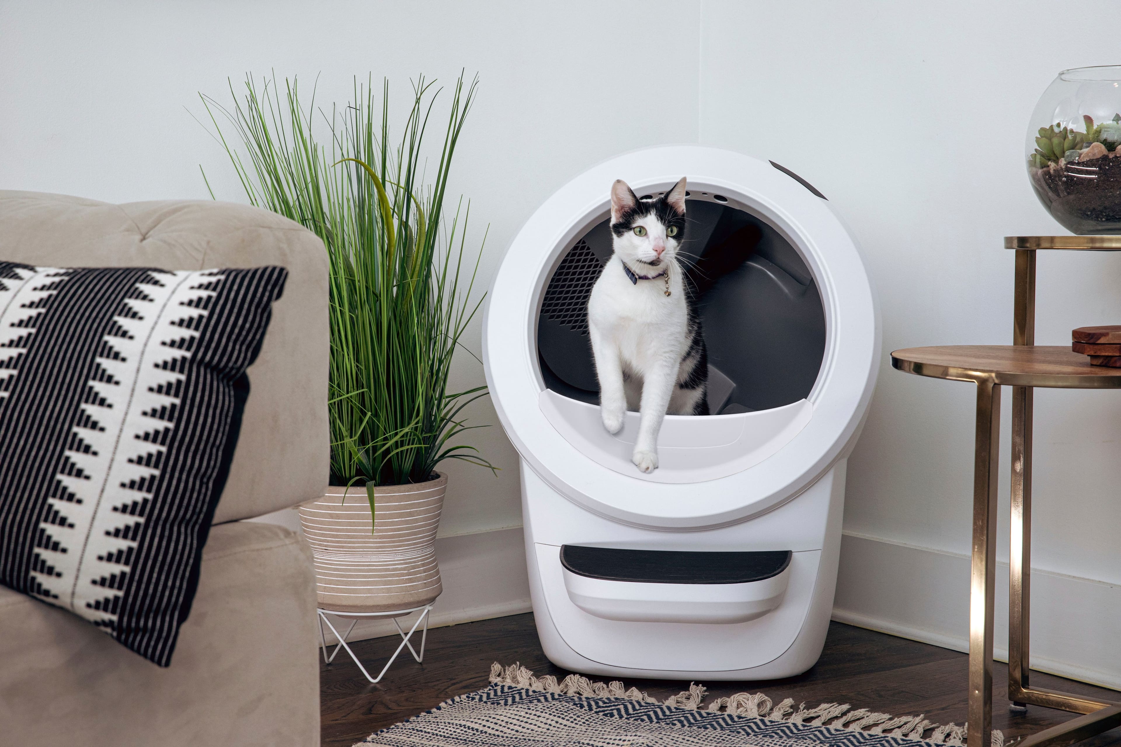 Alt View 15. Whisker - Litter-Robot 4 Smart App-Controlled Self-Cleaning Litter Box - White.