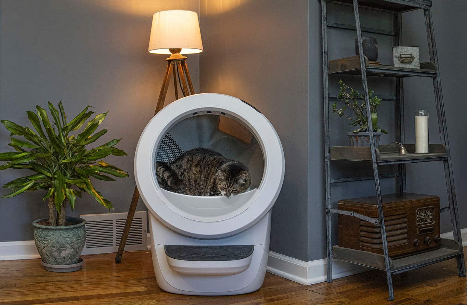 Alt View 16. Whisker - Litter-Robot 4 Smart App-Controlled Self-Cleaning Litter Box - White.
