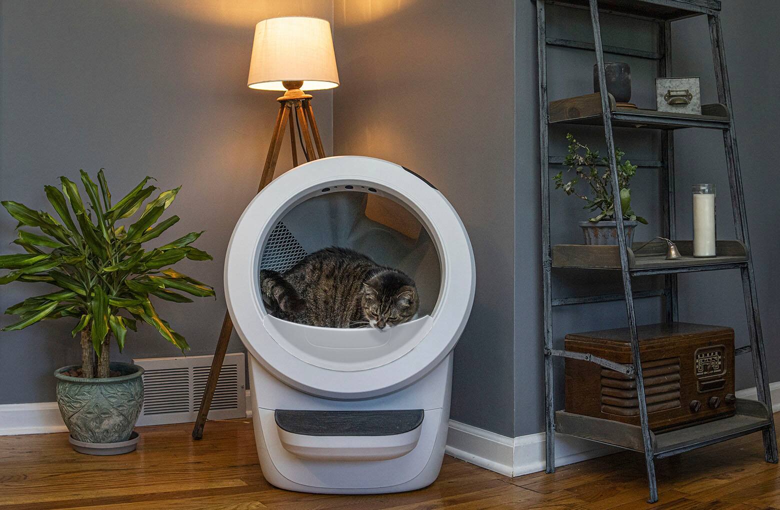 Alt View 16. Whisker - Litter-Robot 4 Smart App-Controlled Self-Cleaning Litter Box - White.