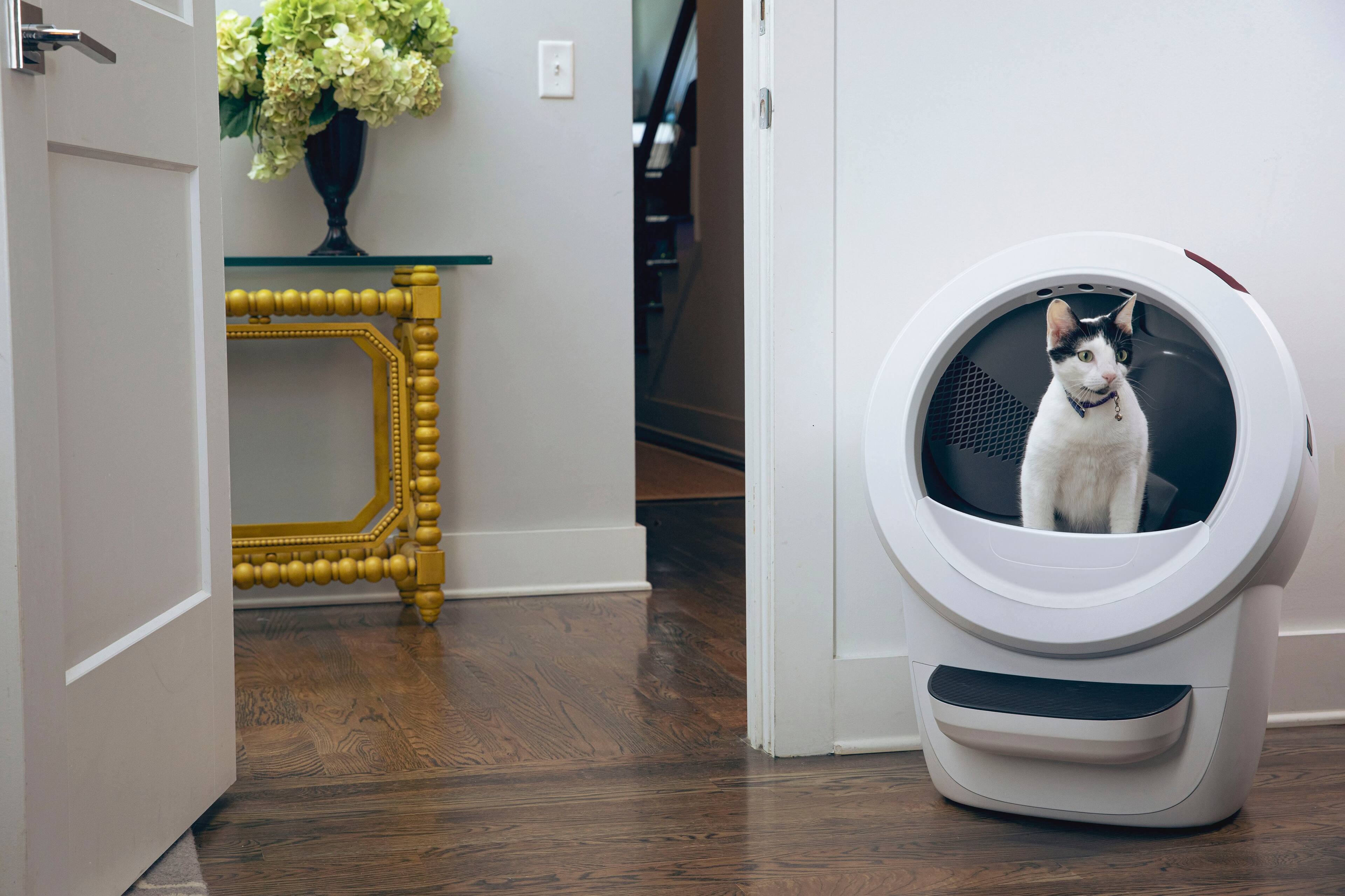Alt View 22. Whisker - Litter-Robot 4 Smart App-Controlled Self-Cleaning Litter Box - White.