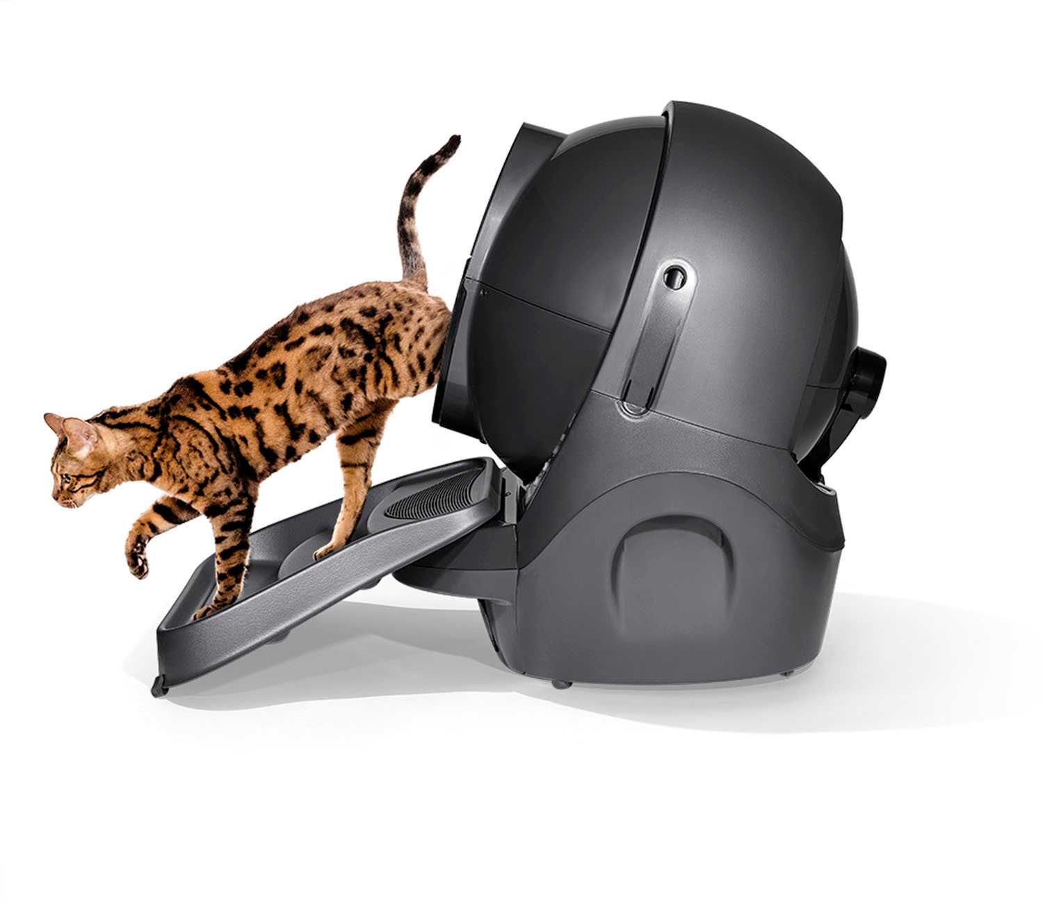 Scene landsby Trænge ind Whisker Litter-Robot 3 Connect Core Accessories Bundle WiFi-Enabled Covered  Automatic Self-Cleaning Cat Litter Box Grey LR3C-COREBD-GR - Best Buy