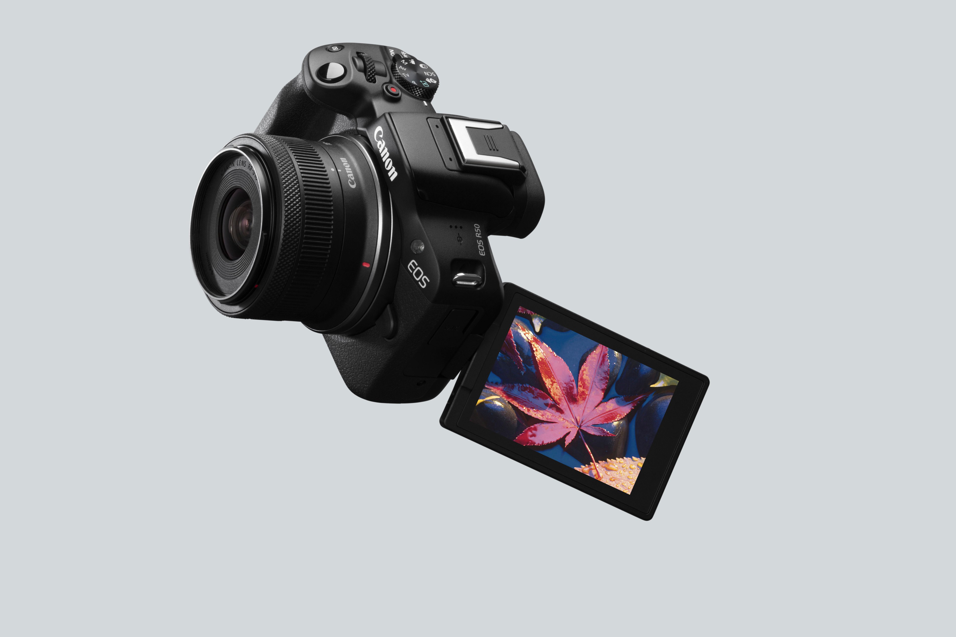  Canon EOS R50 Mirrorless Vlogging Camera (Body Only/Black), RF  Mount, 24.2 MP, 4K Video, DIGIC X Image Processor, Subject Detection &  Tracking, Compact, Smartphone Connection, Content Creator : Electronics