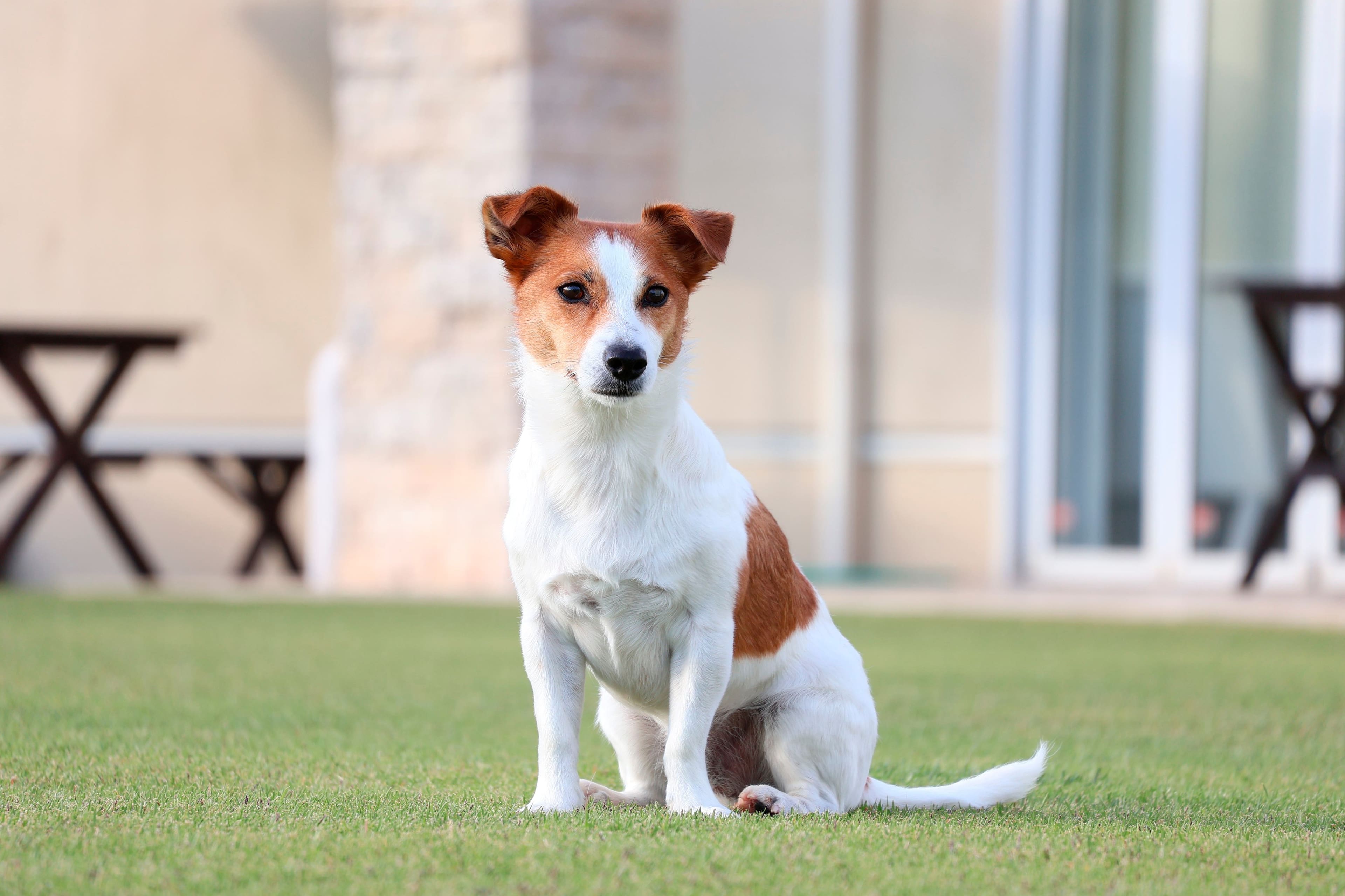 Alt View 34. Canon - EOS R50 4K Video Mirrorless Camera with RF-S 18-45mm Content Creator Kit - Black.