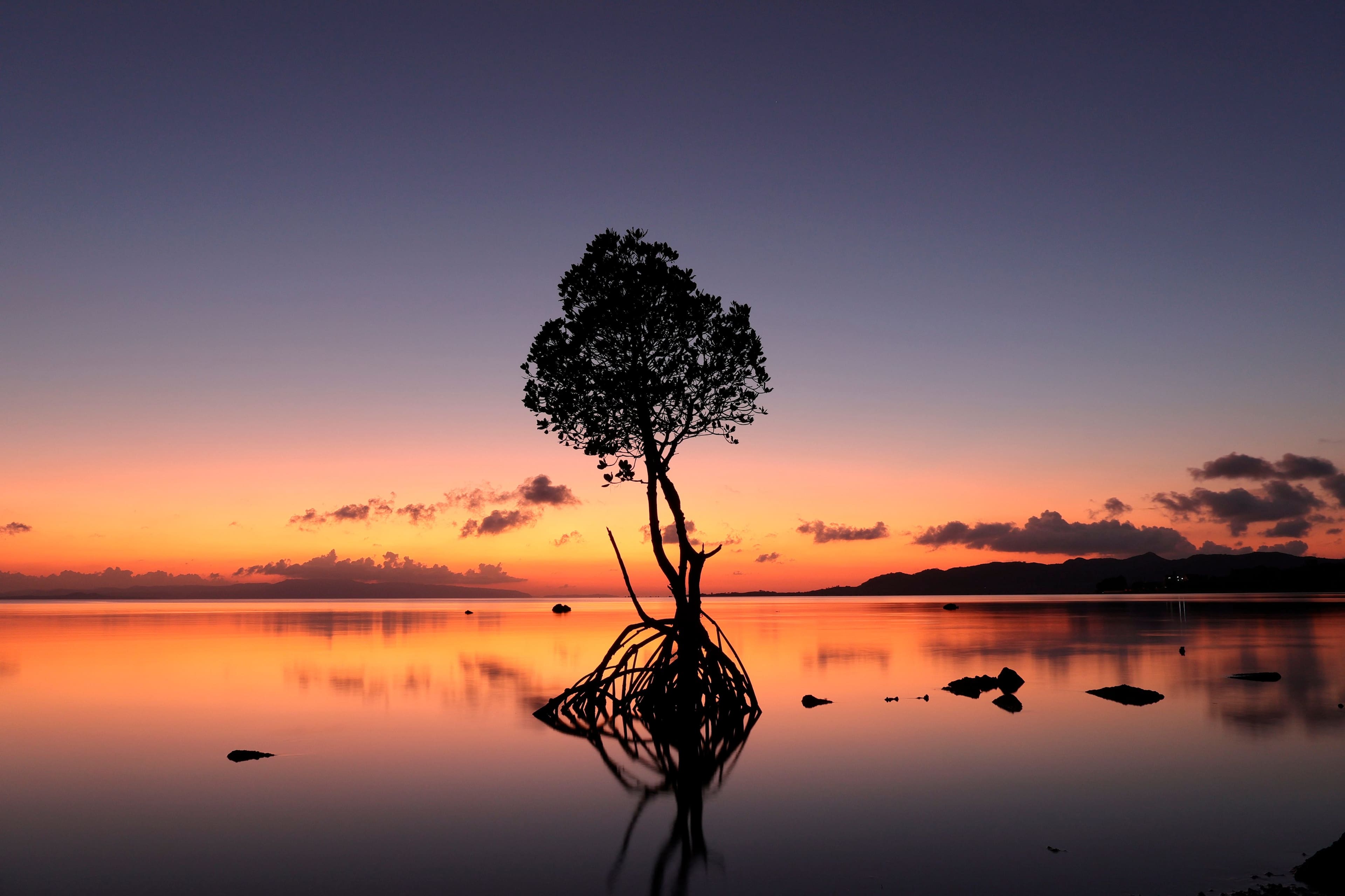 Alt View 36. Canon - EOS R50 4K Video Mirrorless Camera with RF-S 18-45mm Content Creator Kit - Black.