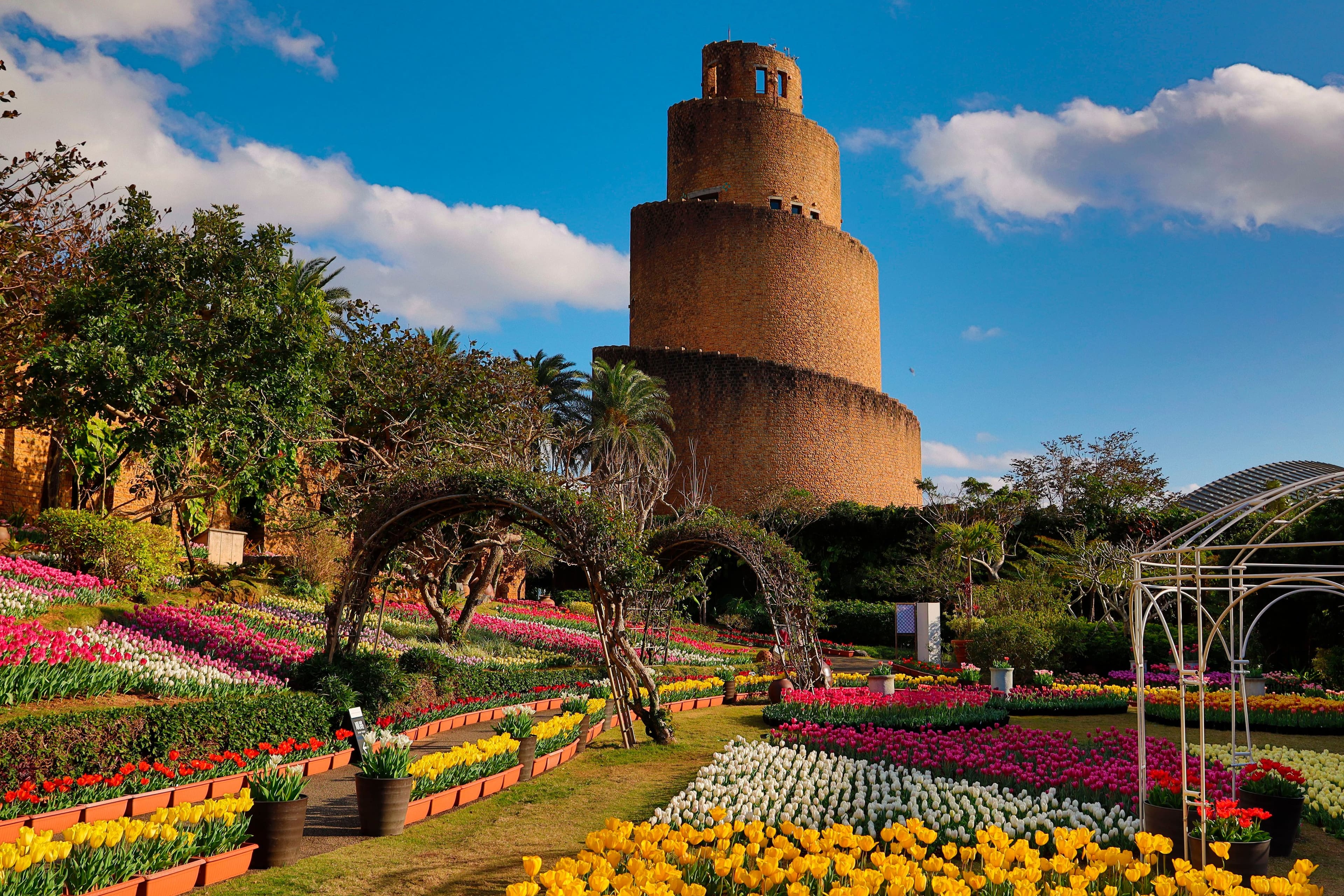 Alt View 23. Canon - EOS R100 4K Video Mirrorless Camera (Body Only) - Black.