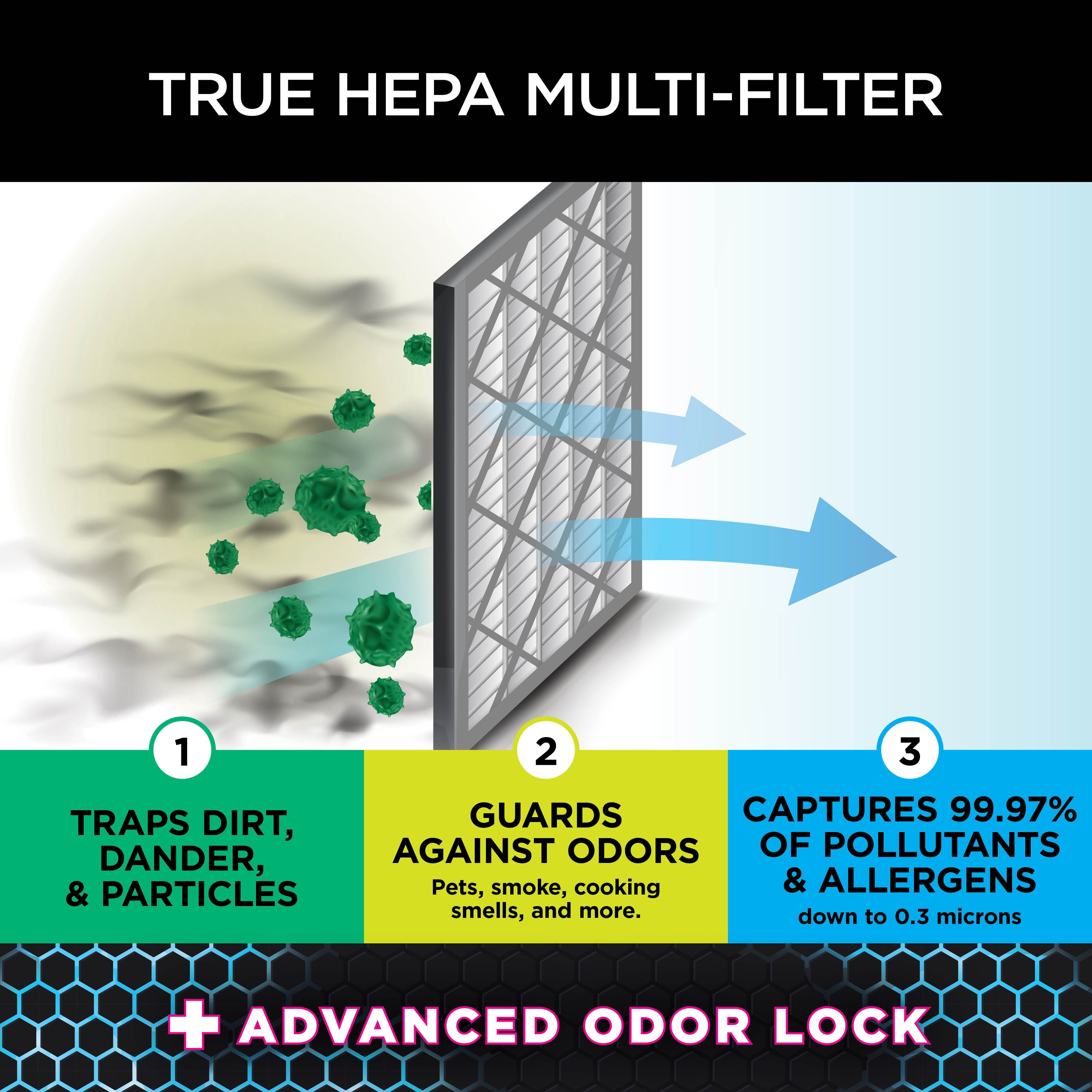 The image features a large window with a True HEPA Multi-Filter, which is designed to trap dirt, allergens, and odors. The filter is divided into three sections, each with a different purpose. The first section captures 99.97% of pollutants, including dander, pets, smoke, cooking, and allergens. The second section is specifically designed to guard against odors, while the third section is focused on capturing particles as small as 0.3 microns. Additionally, the filter has an advanced odor lock feature that helps to eliminate lingering smells.
