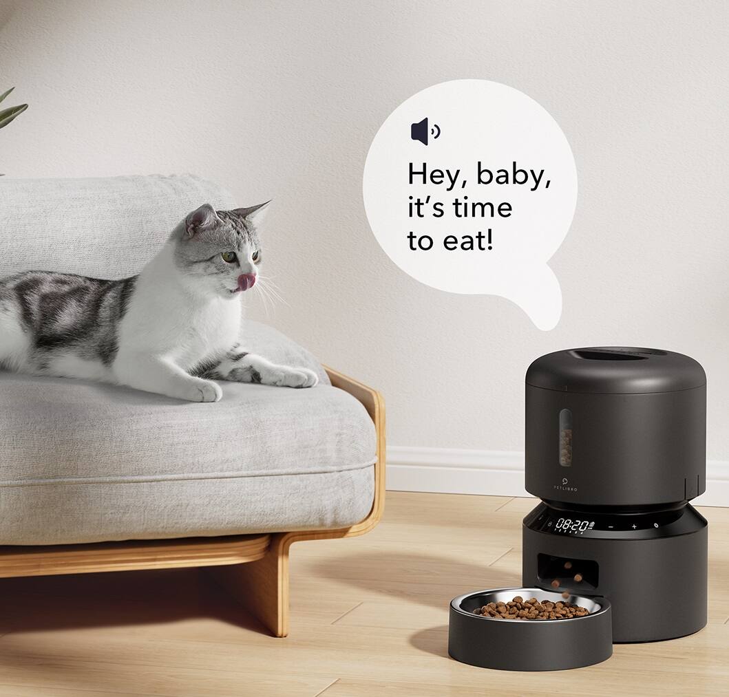 The image features a cat sitting on a couch next to a food bowl, which is likely a pet feeder. The cat appears to be looking at the food bowl, indicating that it is hungry and ready to eat. The scene suggests that the cat is being fed by its owner, who has placed the food bowl on the floor near the couch. The cat's position on the couch and its proximity to the food bowl create a cozy and comfortable environment for the pet.