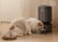 Alt View 14. PETLIBRO - Granary WiFi Stainless Steel 5L Automatic Dog and Cat Feeder with Voice Recorder - Black.