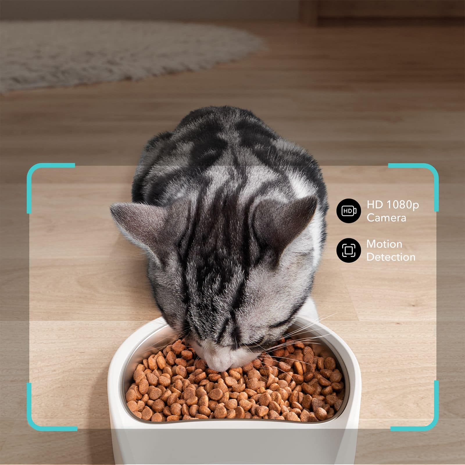 Pet Feeders: I HD 1080p Camera Motion Detection