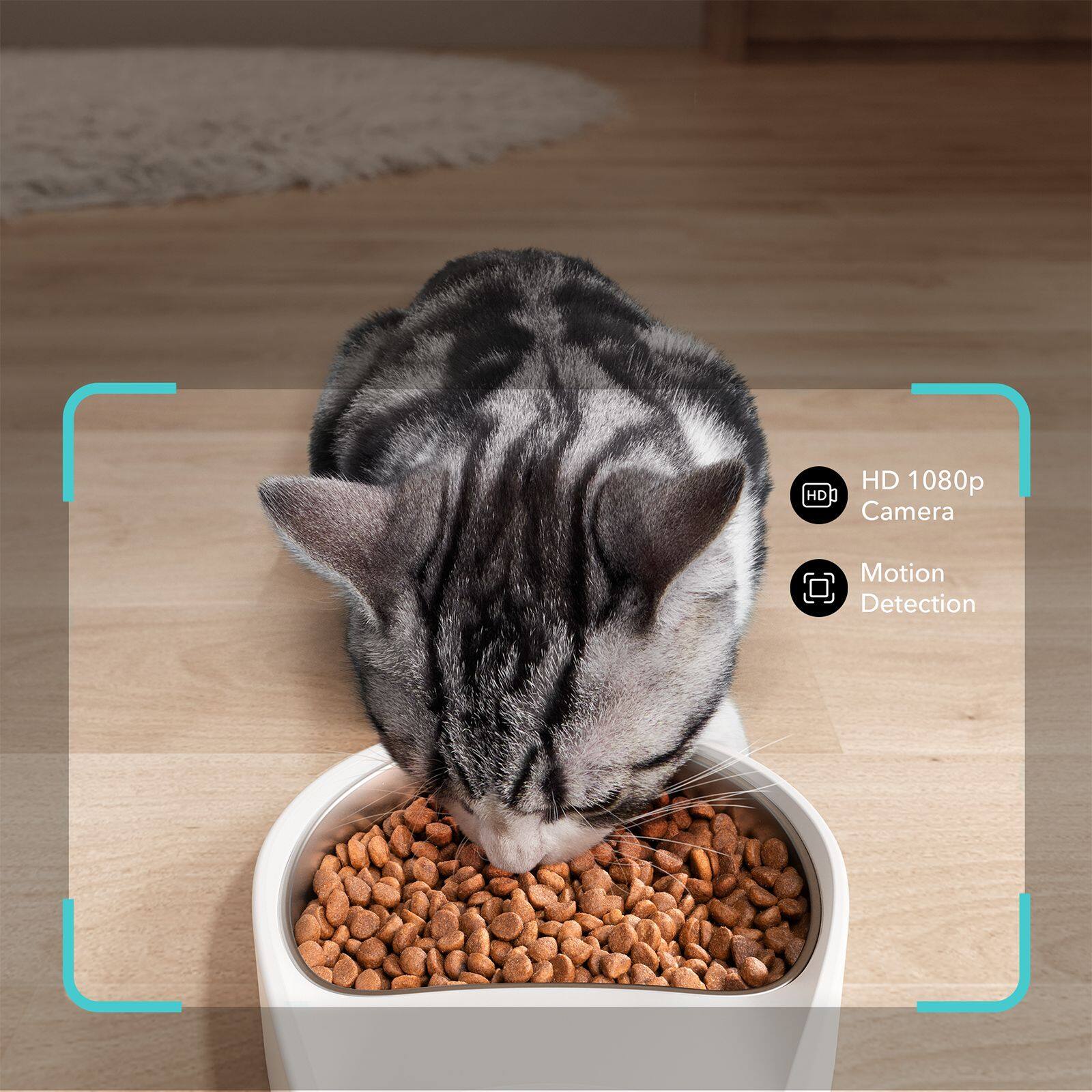 Pet Feeders: I HD 1080p Camera Motion Detection