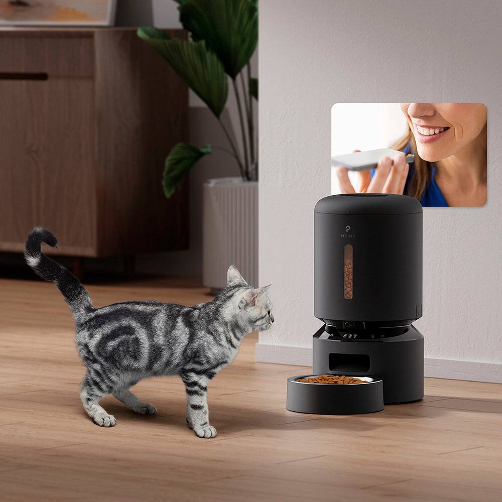 The image features a cat standing next to a pet feeder, which is placed on the floor. The cat appears to be looking at the feeder, possibly interested in eating from it. The scene also includes a potted plant nearby, adding a touch of greenery to the environment.